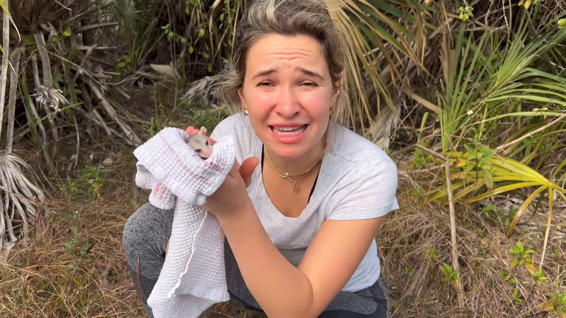 A baby opossum was found alone after his mother was hit by a car