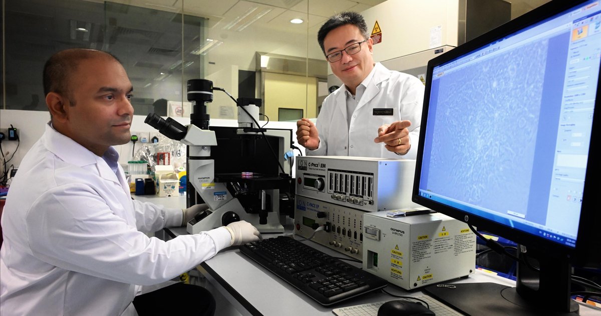 Singapore opens first centre dedicated to stem cell research of the ...