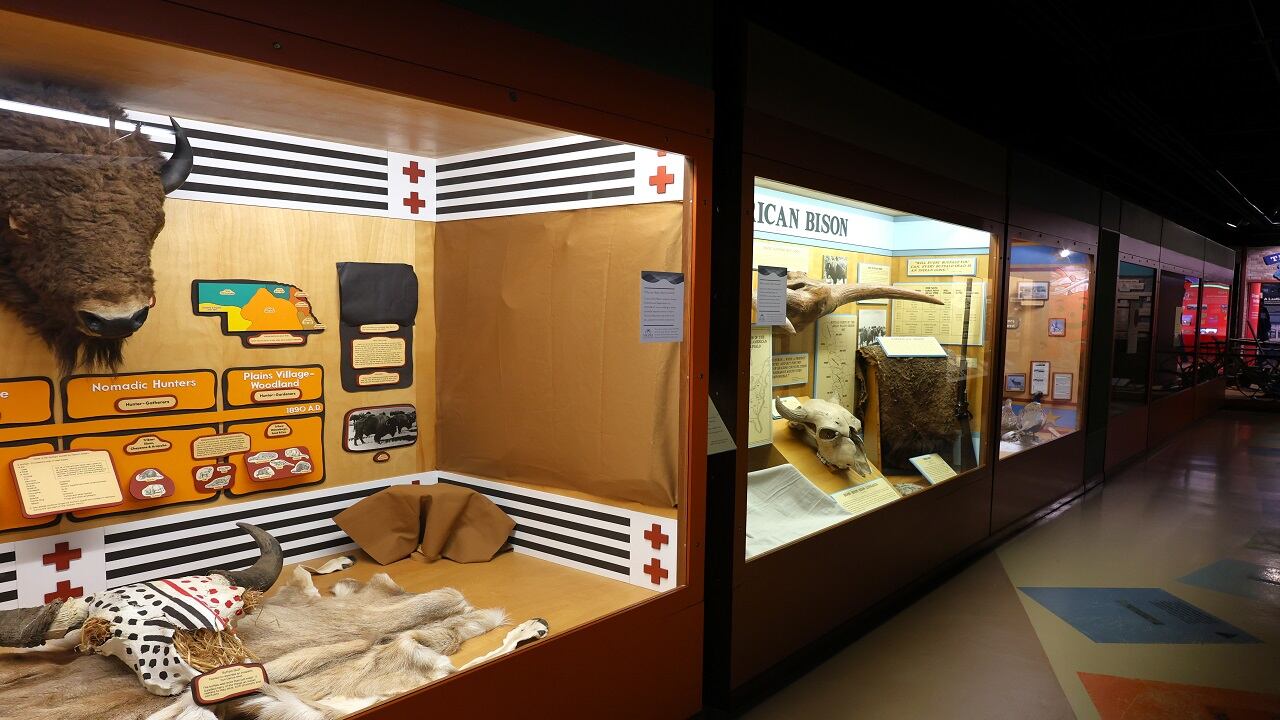 Hastings Museum working with Tribal Nations to review artifacts