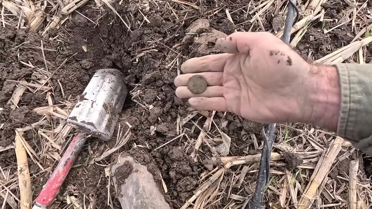He found a nearly unrecognizable old coin - then cleaning revealed King ...