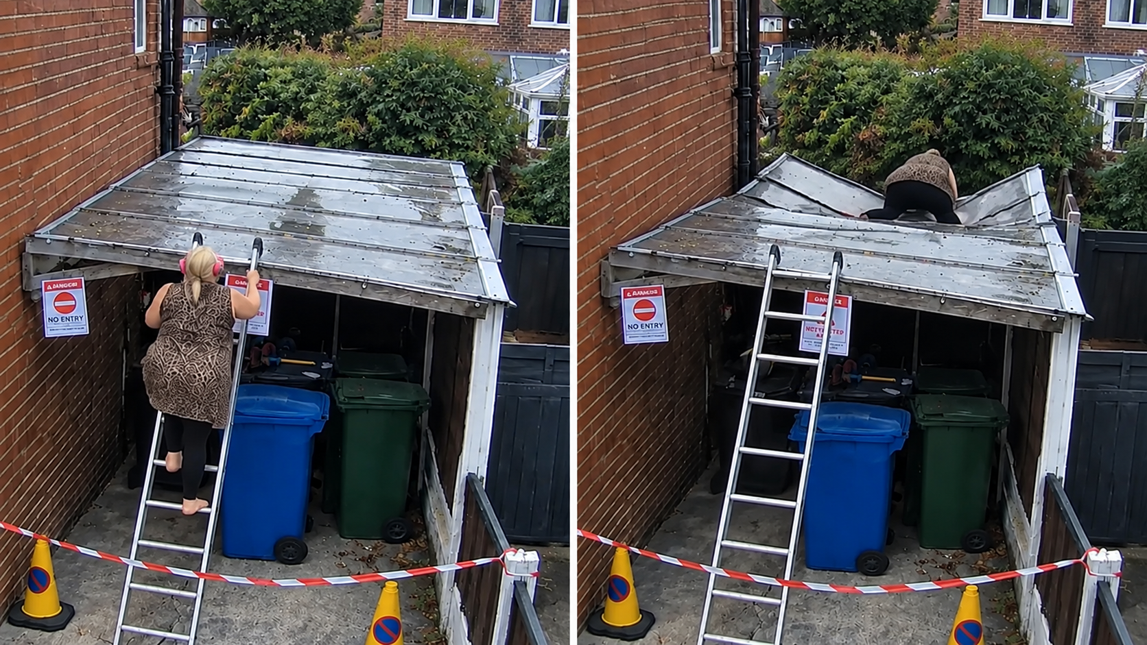 She climbed her neighbor's ladder to spy on him then fell and tried to ...