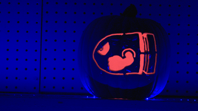 Electrifying Jack O’ Lantern experience lights Gilbert fairgrounds ...