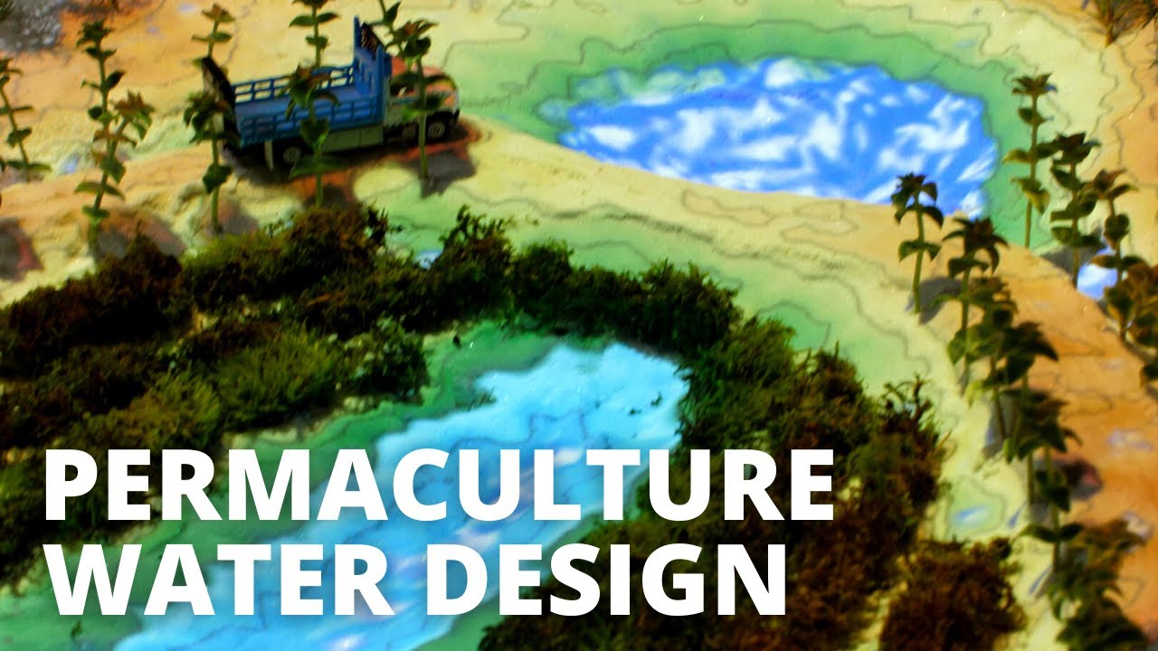 The importance of water in permaculture design