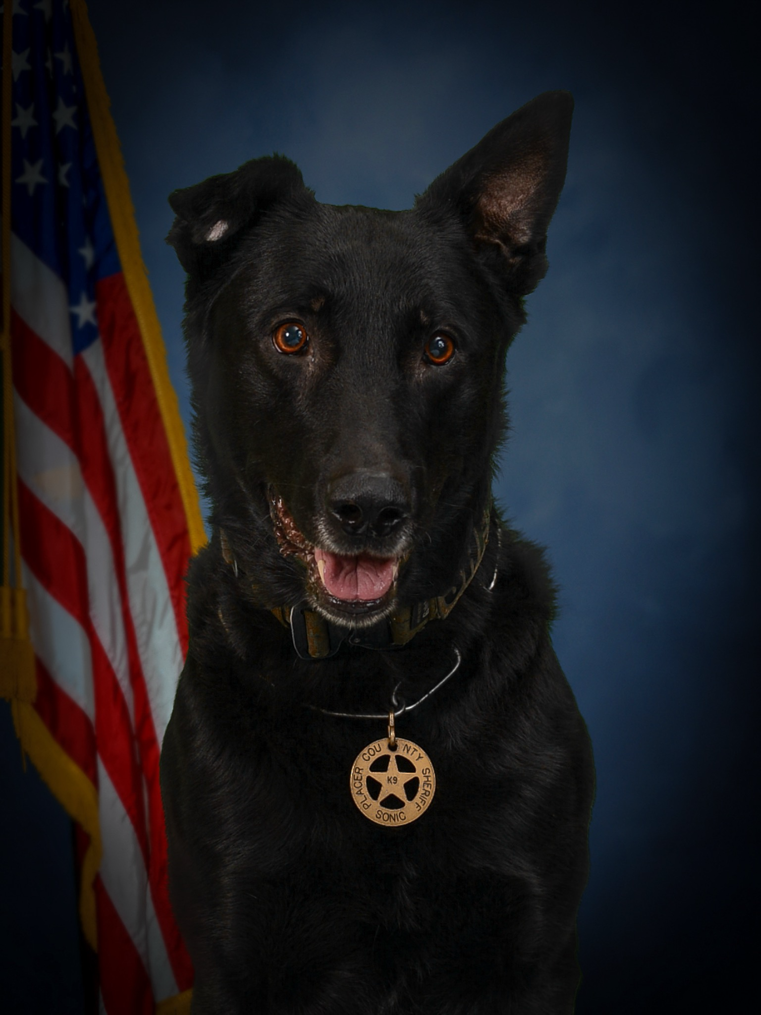 Placer deputies shoot woman accused of shooting a K-9, destroying drones in hourslong standoff