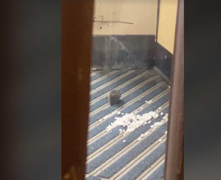 Video shows disturbing conditions at Delmar assisted living facility in ...