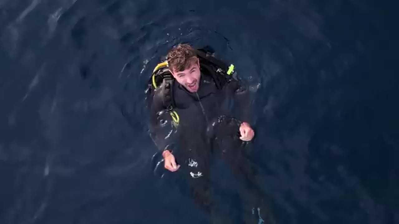 A diver floats above 500 meters of water — a siphonophore encounter ...