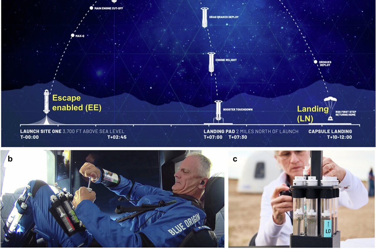 Plants shift gene activity within minutes of entering spaceflight ...