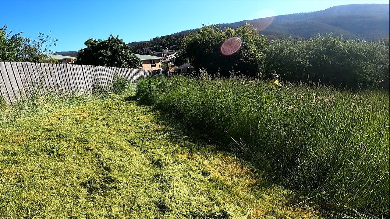 How a small tractor faced an overgrown yard