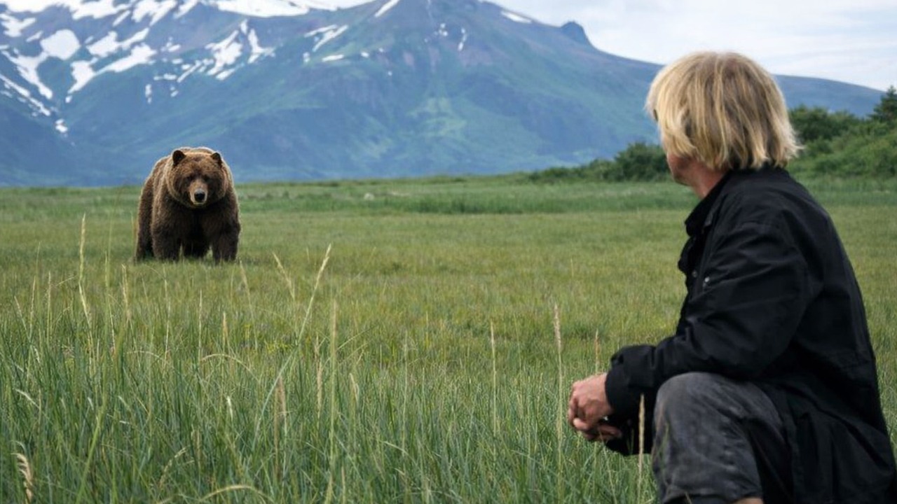 He thought he had a special connection with wild bears - then tragedy ...
