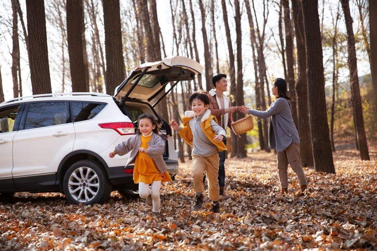 Seasonal tips for safer fall driving