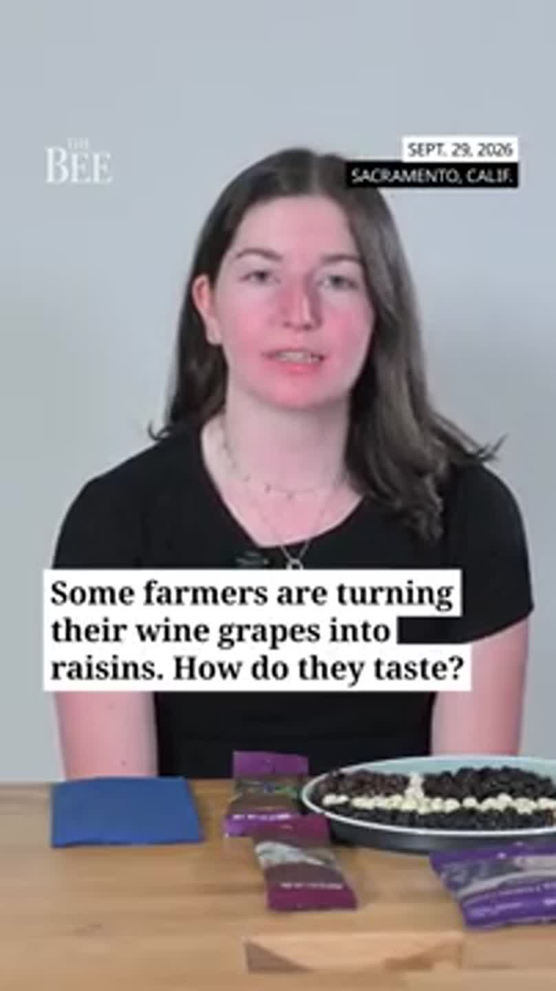 A former winemaker is turning wine grapes into raisins. See The Bee's ...
