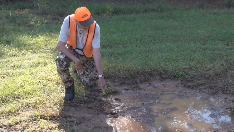 Georgia firearms deer season opens Saturday | Here's what to know
