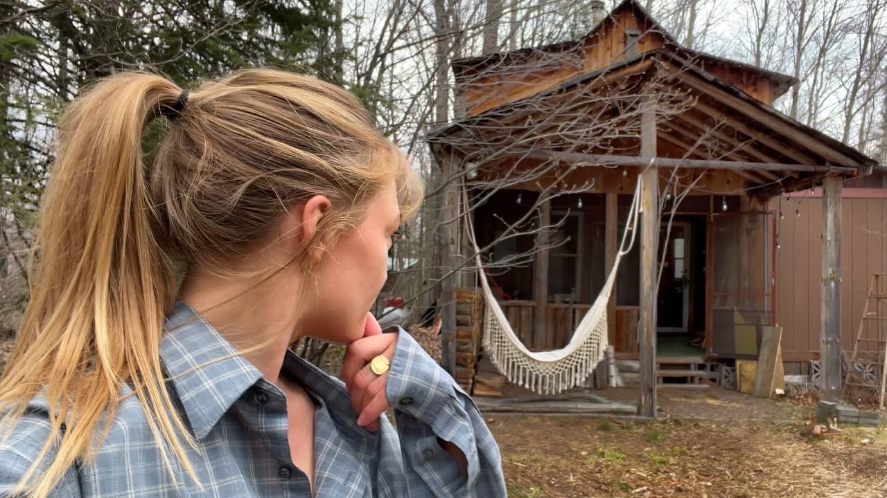 Moving back into my cabin in the woods