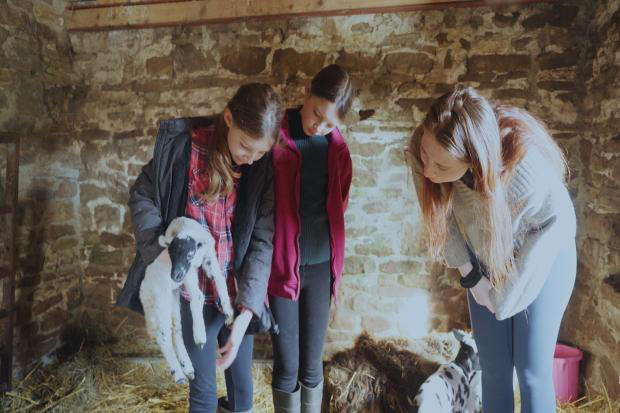 Our farm next door - New pictures show what's next for Amanda Owen and ...
