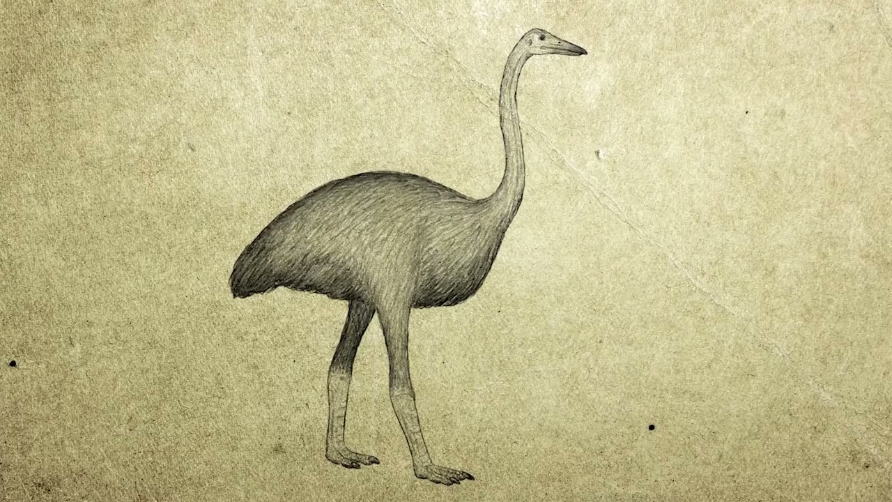 Real-life explanations for mythical creatures: surprising insights and ...