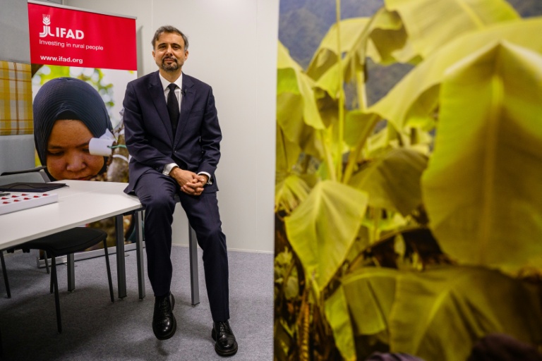 Food crisis looming after global energy shock, UN agriculture fund says