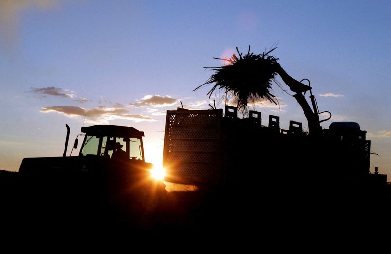 India sets zero sugar diversion for ethanol in 2026/27 tender