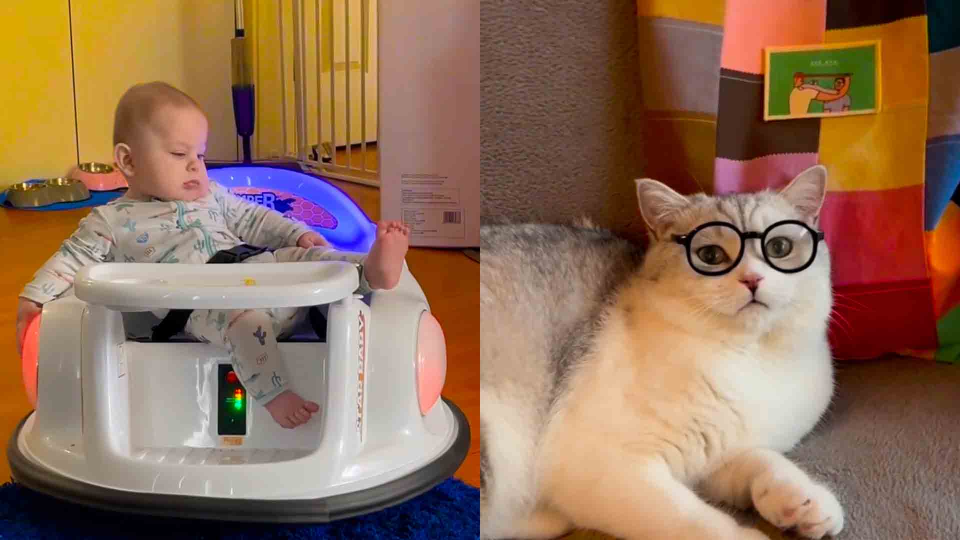 A young child enjoys a comedic bumper car experience with family and pets