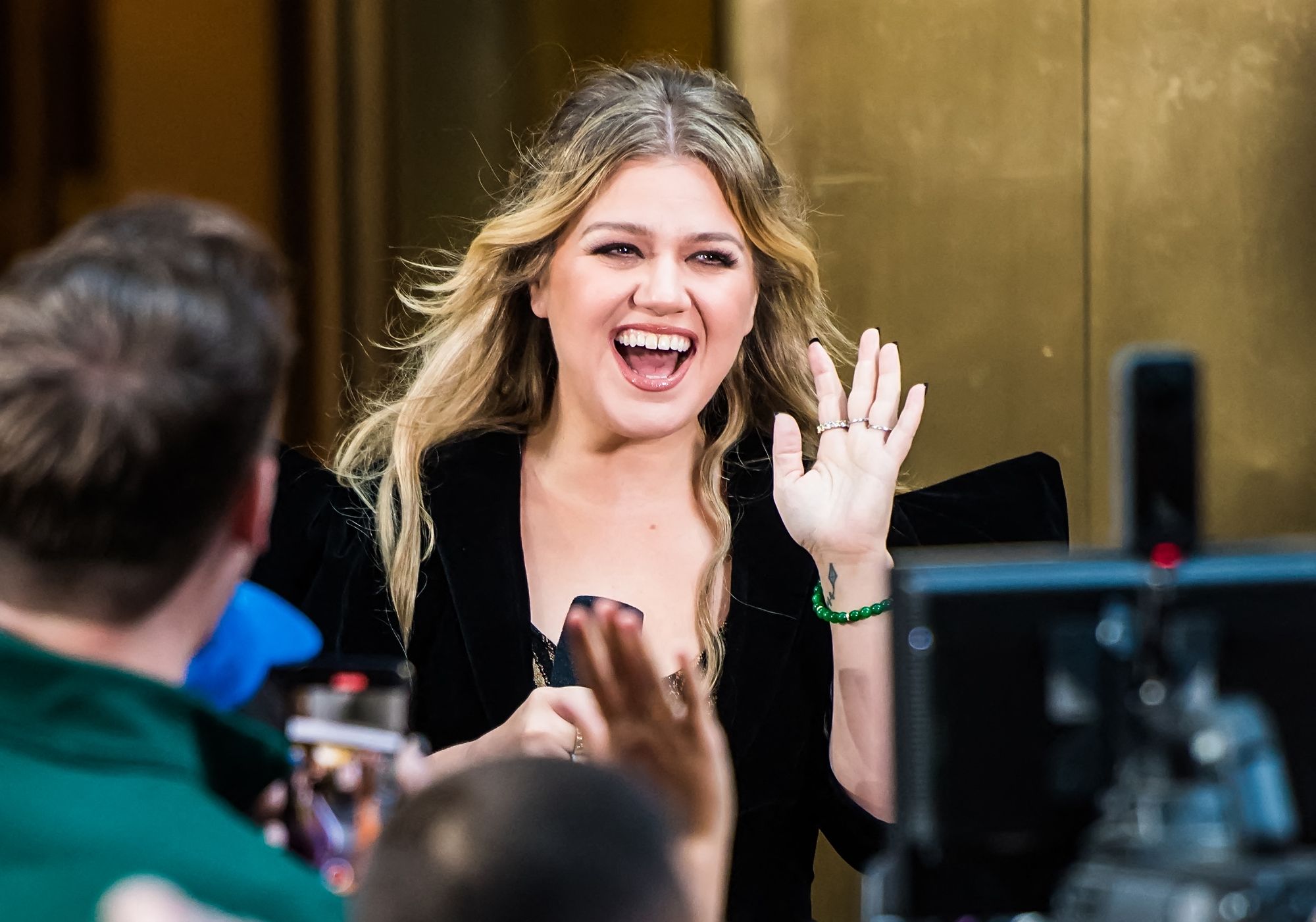Kelly Clarkson’s home decor collection contained bird products before ...