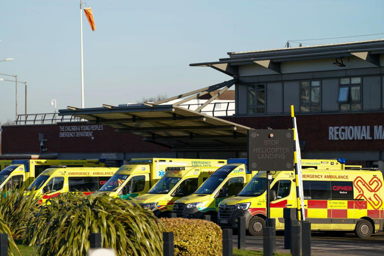 NHS staff inappropriately accessed medical records of tiger attack victim