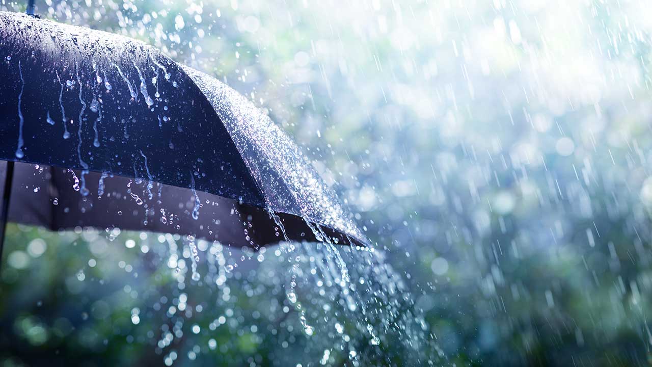 Scattered showers, gusty winds through Friday afternoon & evening