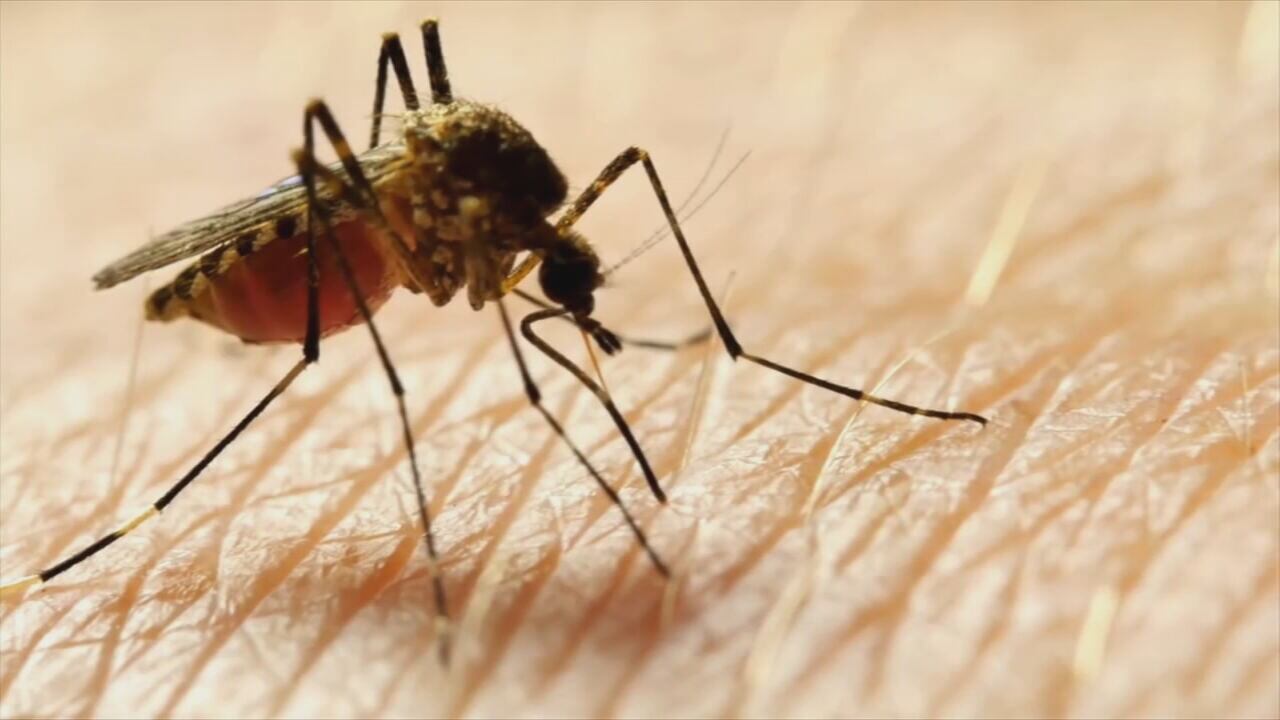 Orange County’s mosquito control to begin aerial spraying to combat ...