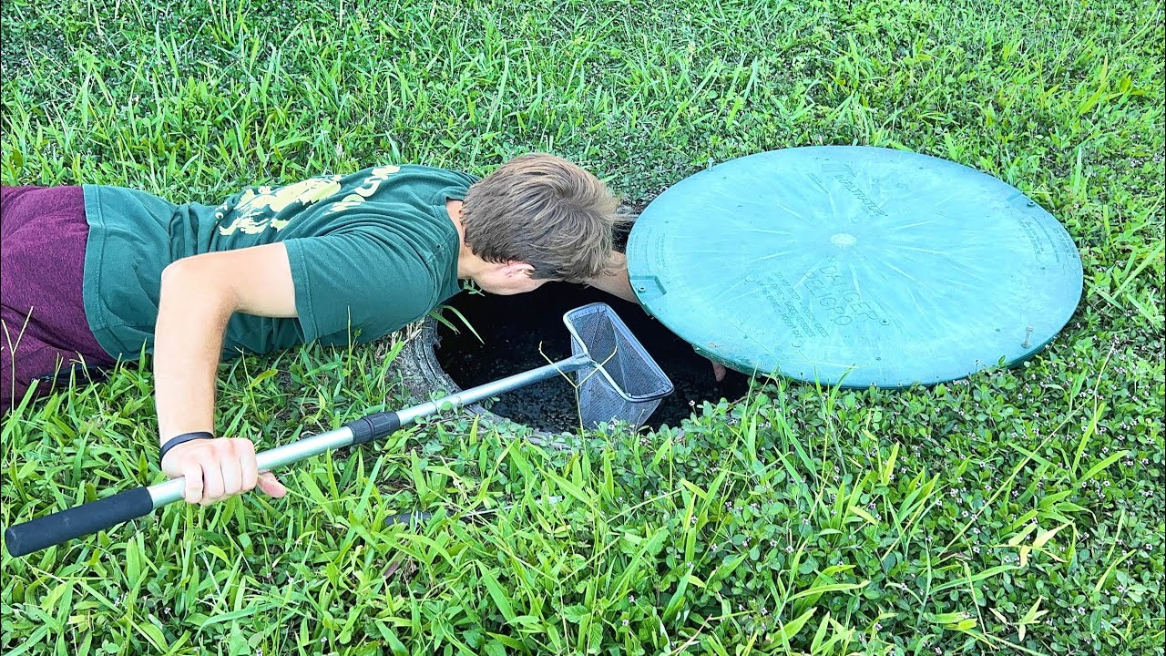 Something unexpected is living in my septic tank!
