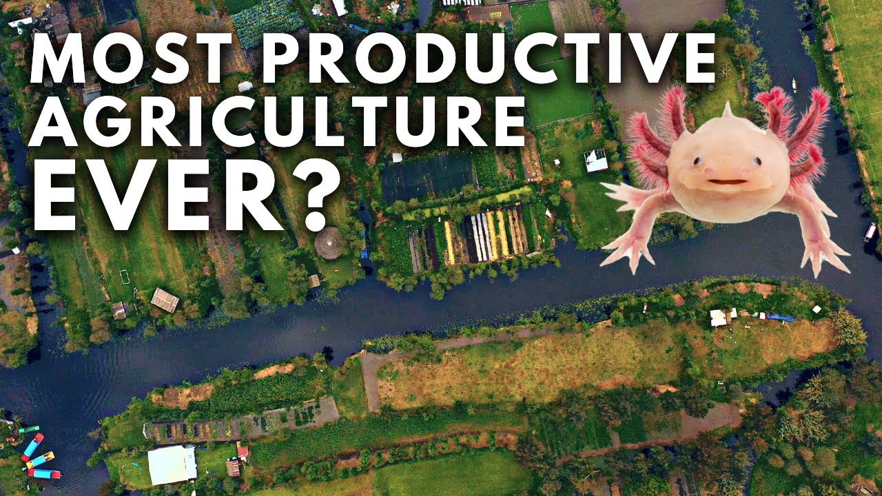 Chinampas of Mexico: The most productive farming system ever?
