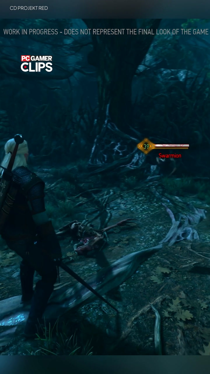 Epic chain combat in The Witcher 3 mod