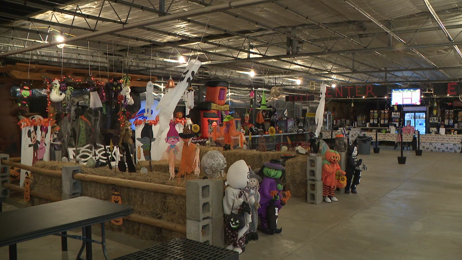 Fall fun at Harvest View Greenhouses in Fredonia