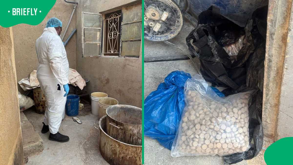 Mandrax drug lab uncovered in Meadowlands, Soweto as police arrest 4 ...