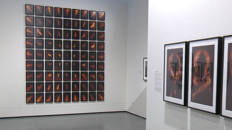 Flashback artist showcases his personal history in Baltimore art exhibit