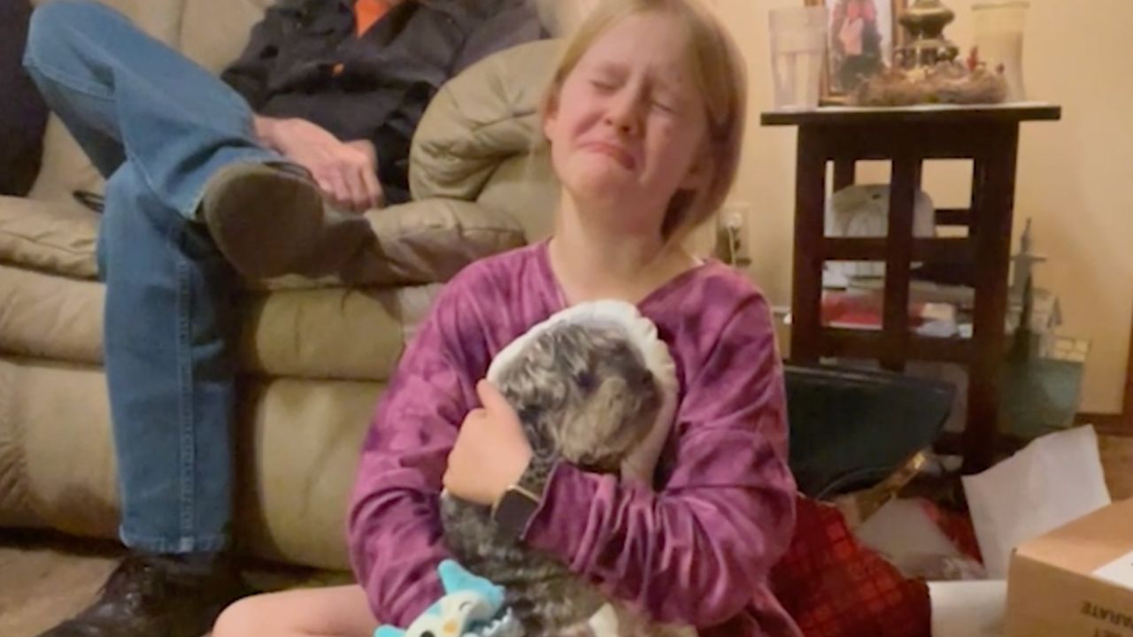 Girl whose beloved dog passed away surprised with cuddle pillow | Happily