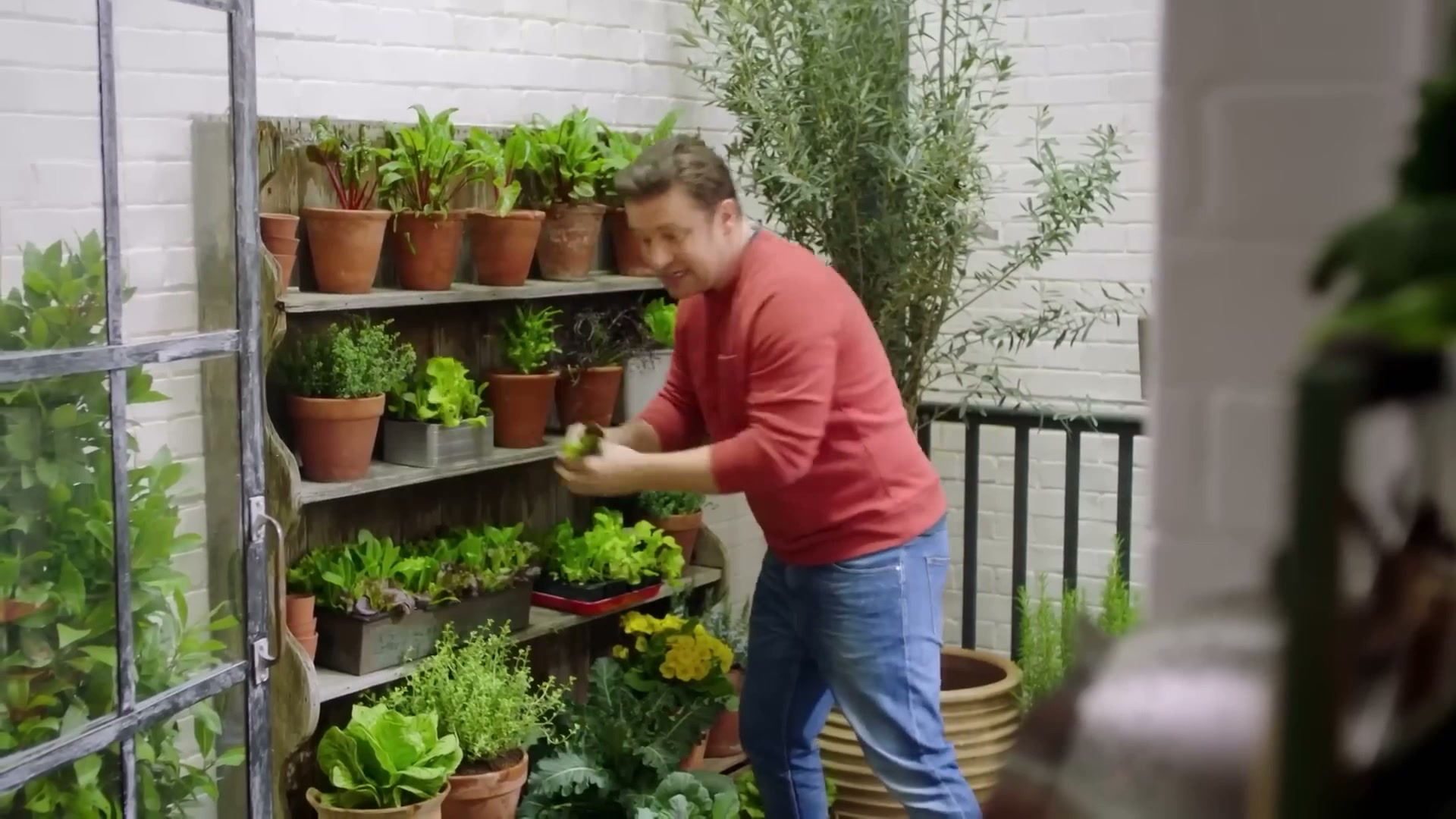 Greens mac 'n' cheese recipe | Jamie Oliver's ultimate veg