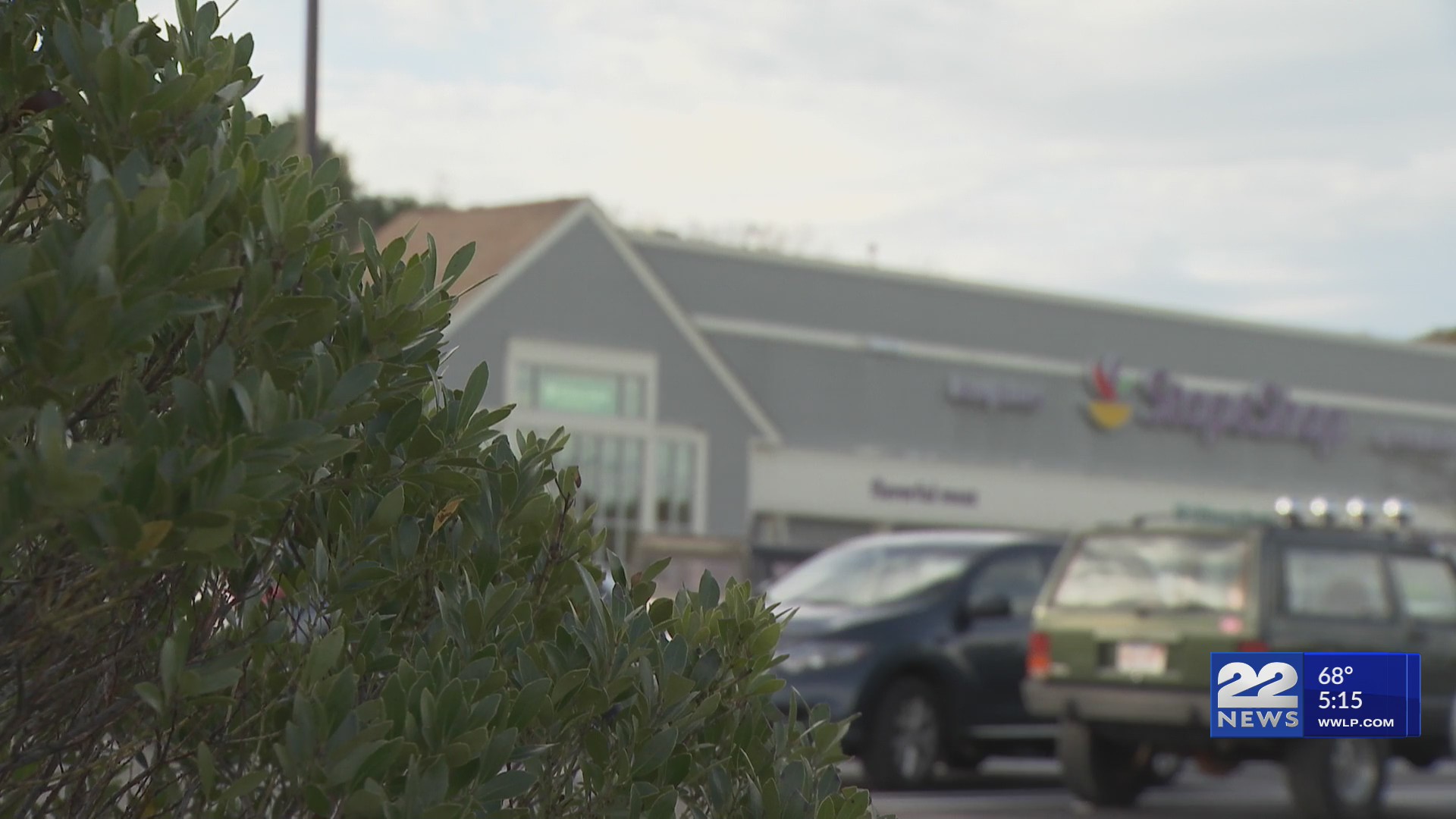 Stop & Shop offers discount as online services remain down after ...
