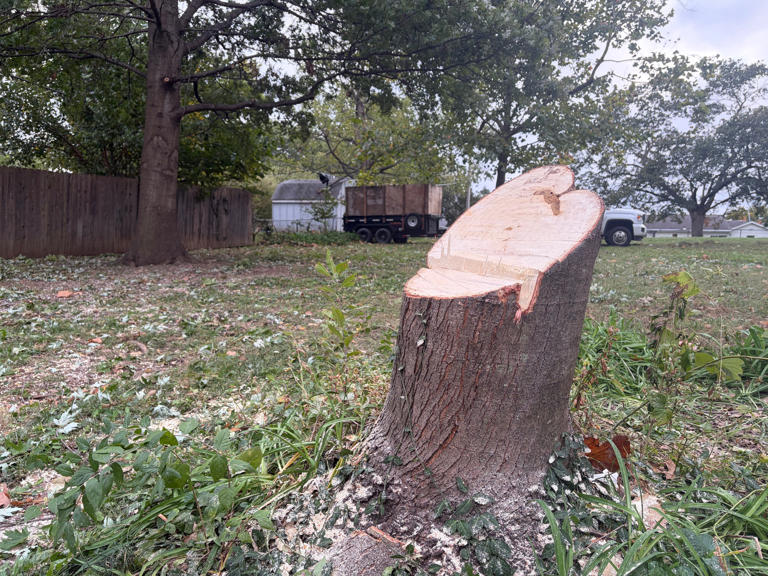 City expands free brush drop-off days after Northland storm damage