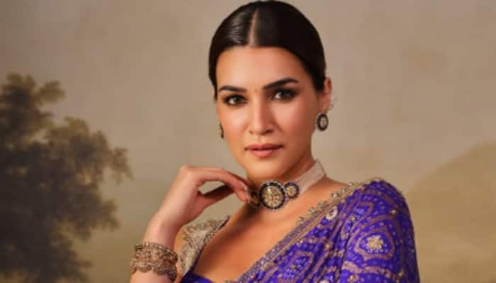 Delhi HC seeks research on personality rights as Kriti Sanon approaches ...