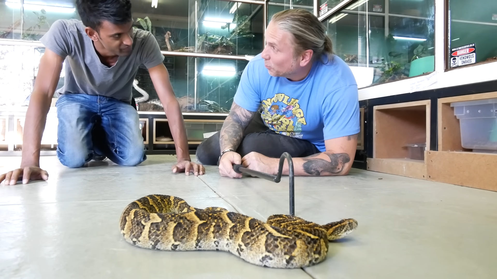 A black mamba pricked his finger... 80 seconds later his body started ...