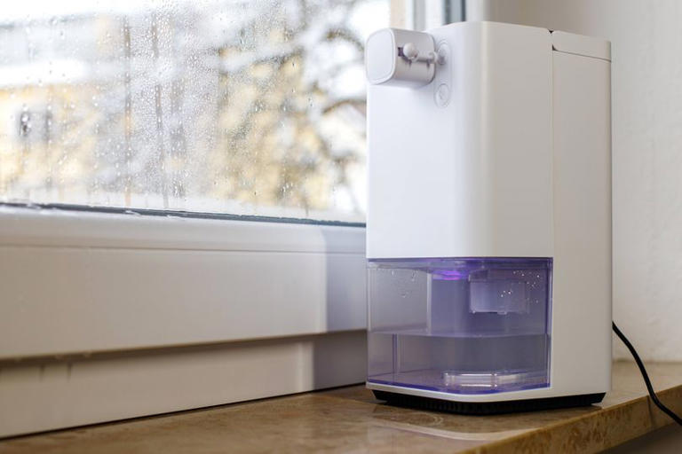 Condensation on your windows will never be a problem if you do 5-minute ...