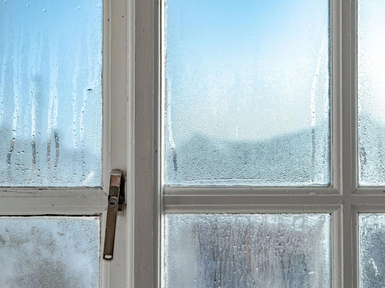 Windows will never be wet in the morning if you do 1 simple task that ...