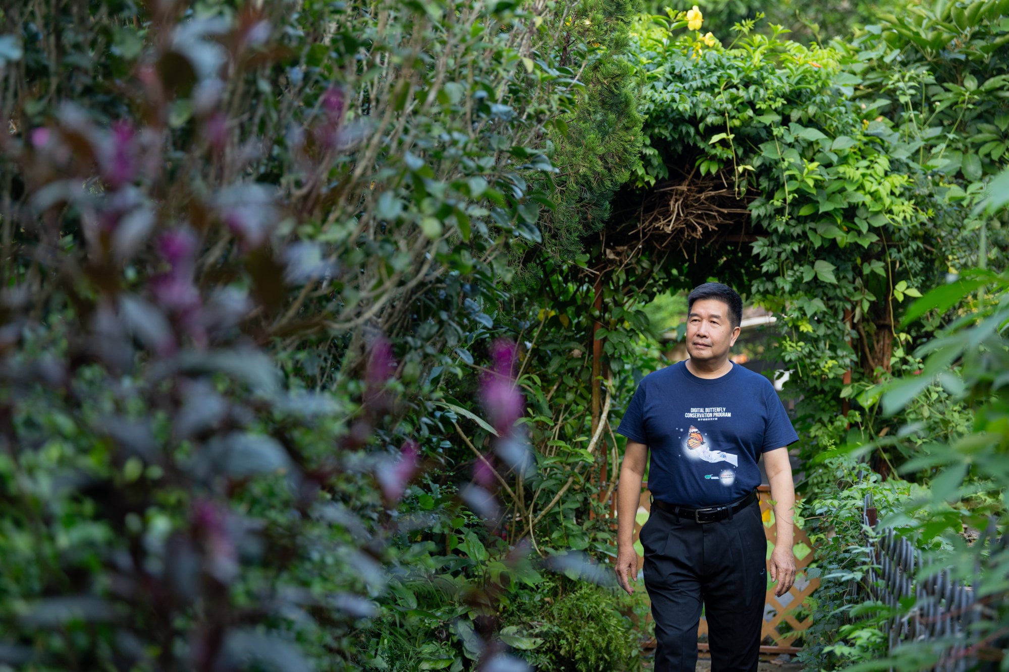 The butterfly effect: one man’s mission to help nature and communities ...