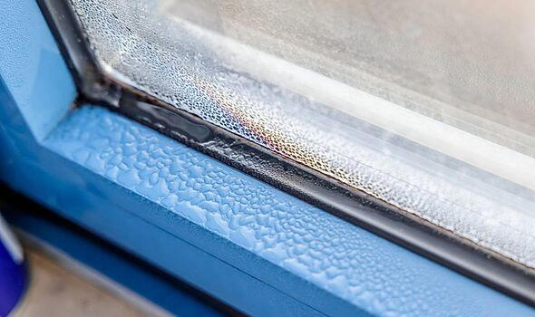 Windows will stay drier if you ditch dehumidifiers for simple 5-minute ...