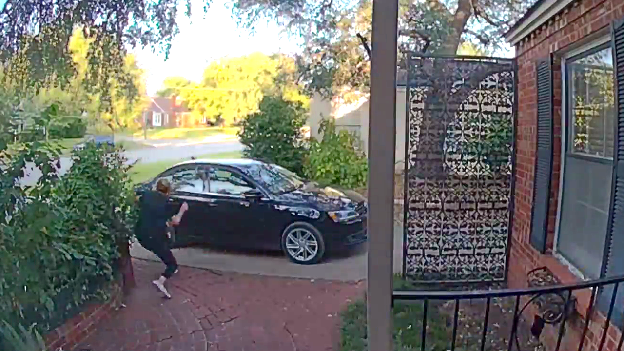 Shocking wasp assault captured on security footage