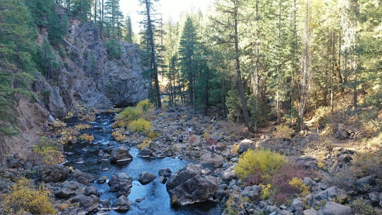 Juvenile salmonid collection system: DWR redesign cuts predators ...