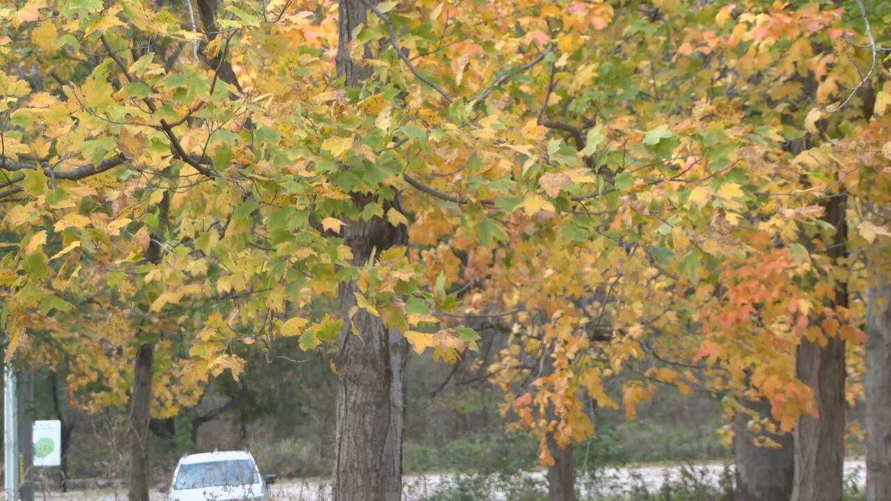 Maple syrup season preparation begins