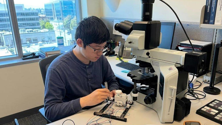 16-year-old Ethan Yan wins $50,000 scholarship for AI leukaemia ...