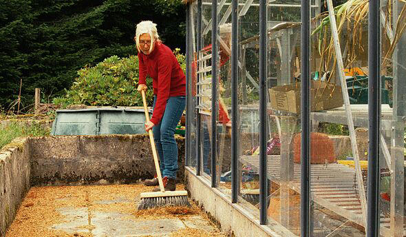 Don't let diseases take root in your garden this autumn - here are my ...