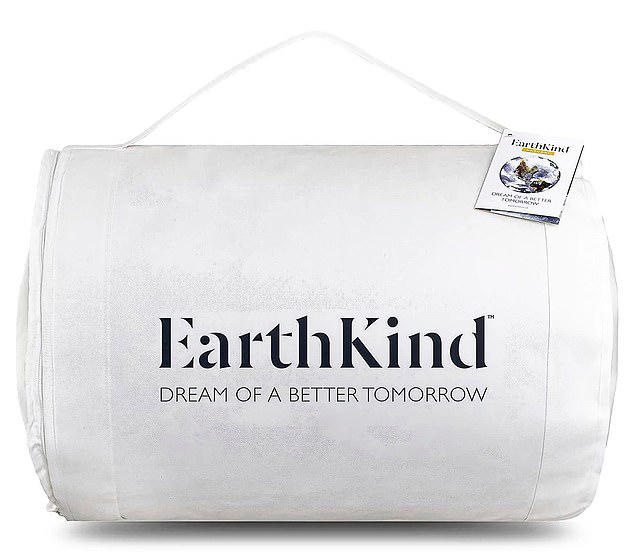 Which? Have tested 40 duvets so you don't have to! This £32 budget buy ...