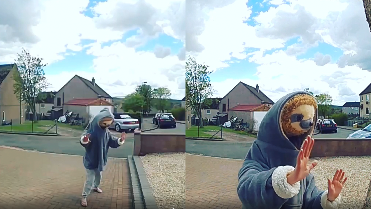 Hilarious moment caught on Ring doorbell: Sibling antics revealed