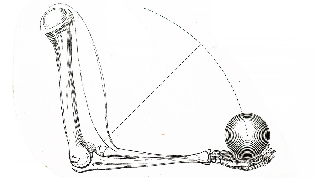 Optimizing exercise technique through biomechanics
